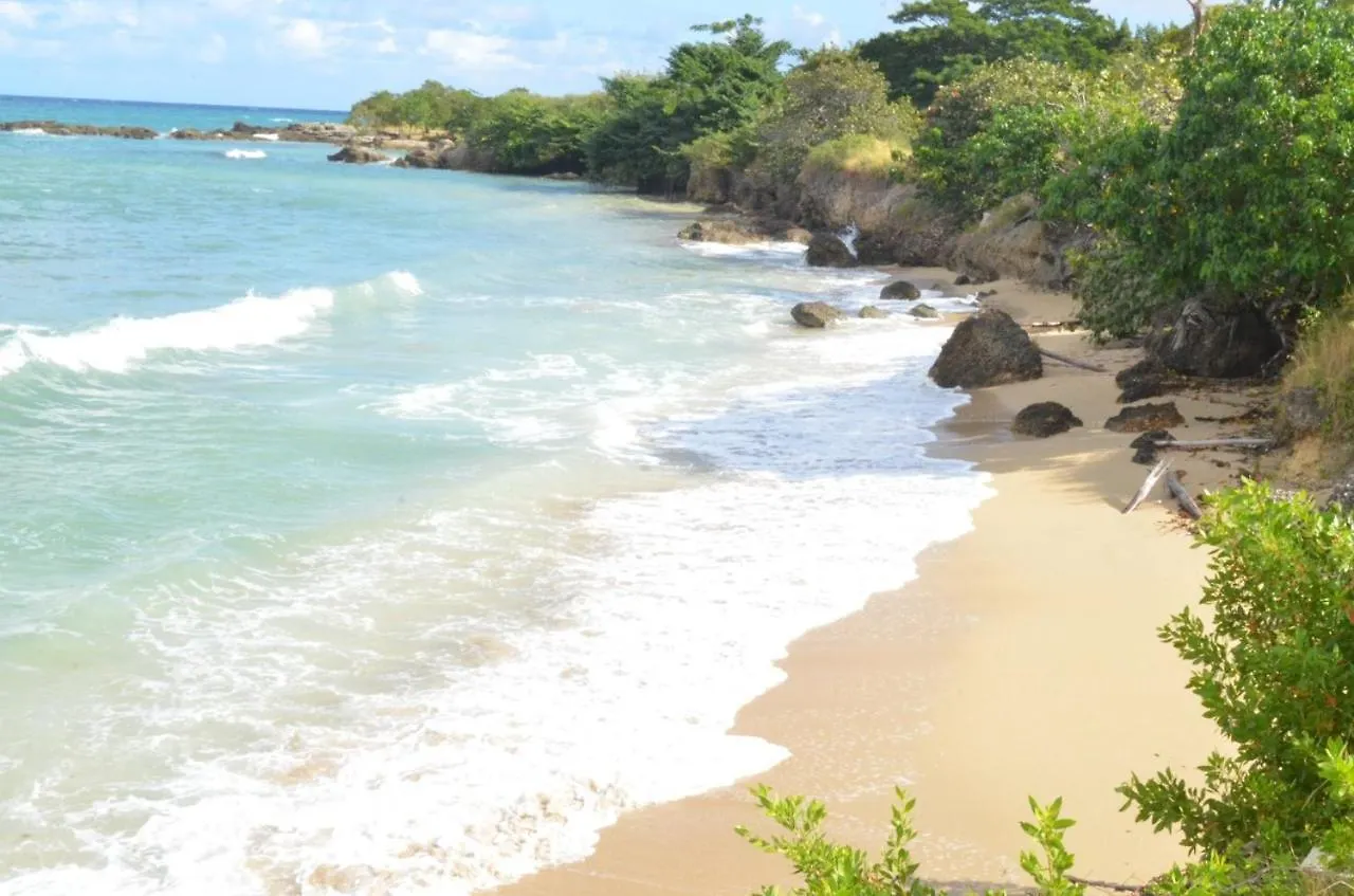 Jamaica Tranquility Apartment Lucea